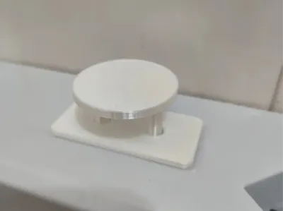 Toilet flush button