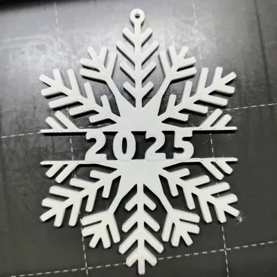 Snowflake 2025