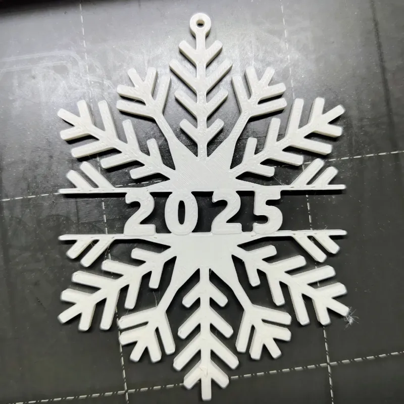 Snowflake 2025