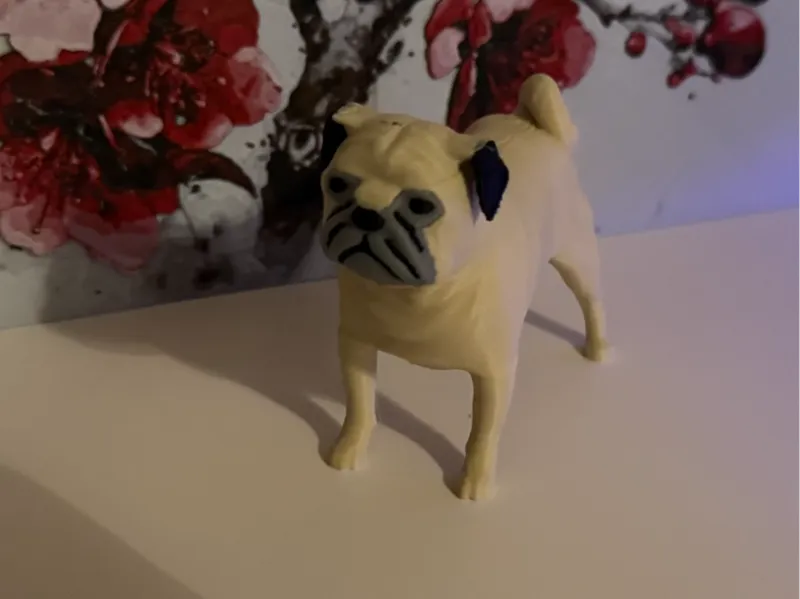 Pug
