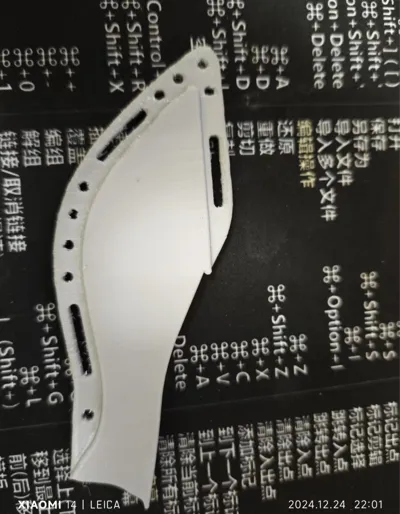 scabbard