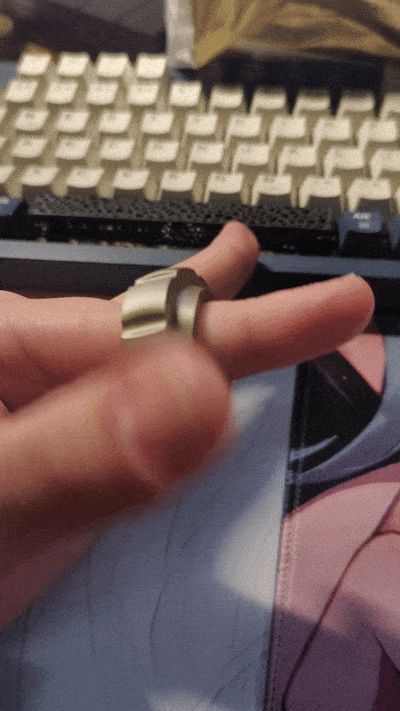 https://makerworld.bblmw.com/makerworld/model/DSM00000000909871/design/1802cc4a-2ab0-46c2-9cae-03f42fd413fb.gif