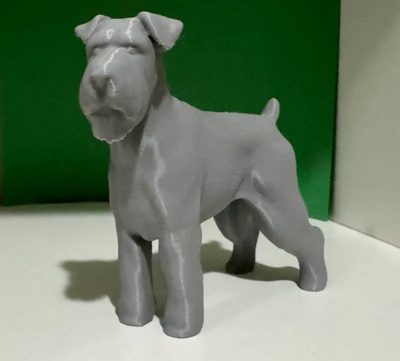 Schnauzer