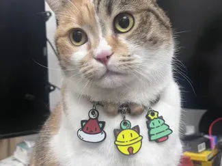 圣诞帽猫猫小挂饰