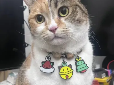 Christmas hat cat keychain