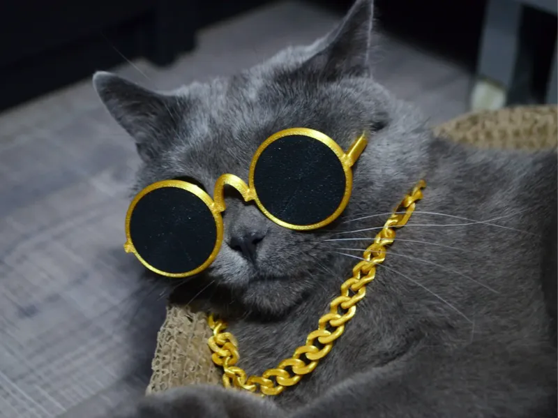 猫咪【土豪项链眼镜】套装