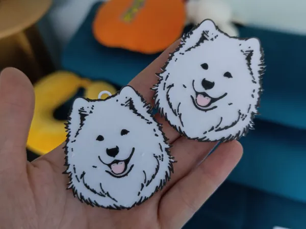 https://makerworld.bblmw.com/makerworld/model/DSM00000000916013/design/2024-12-26_9660eee7c0007.jpg