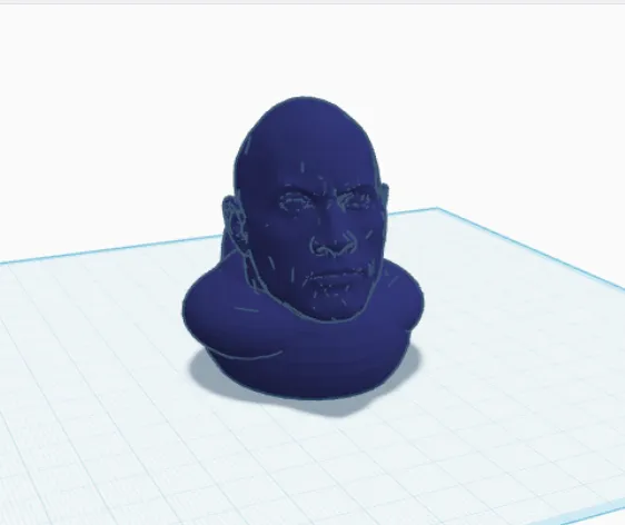 The Rock Duck
