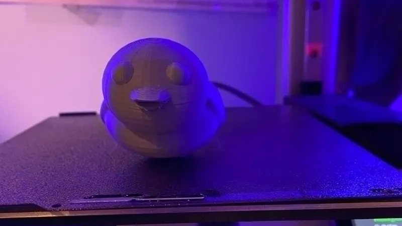 3d duck