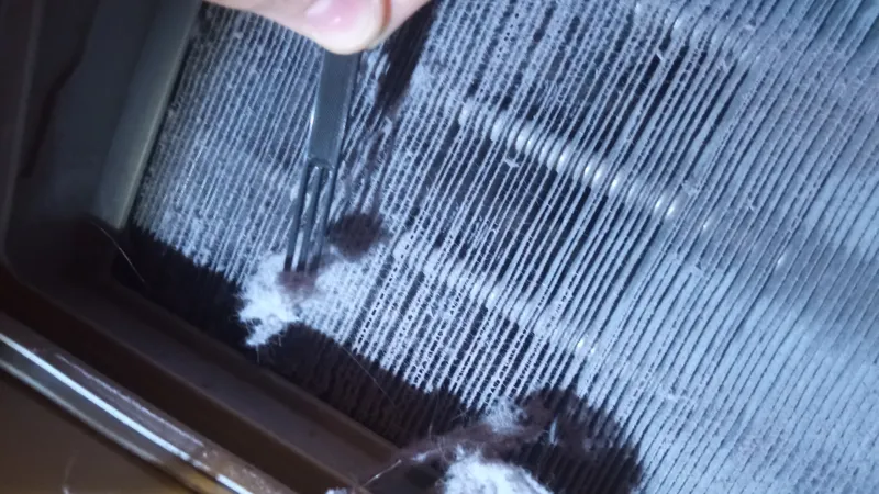 dryer cleaner clothes dryer cleaner