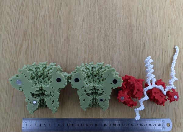 https://makerworld.bblmw.com/makerworld/model/DSM00000000918894/design/2024-12-28_ru090loqkmc7.gif