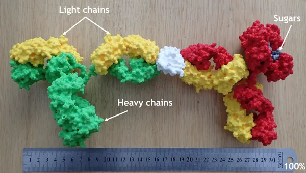 https://makerworld.bblmw.com/makerworld/model/DSM00000000918900/design/2024-12-28_wm5n1cayc8kp.png