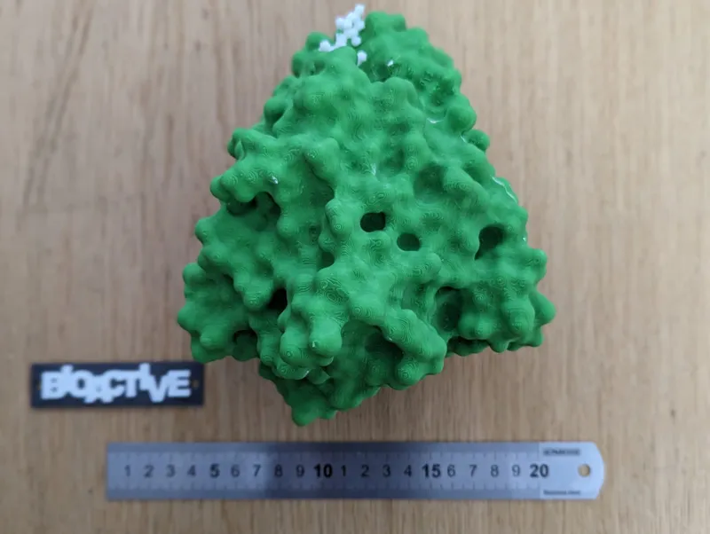 Cellobiohydrolase I with removable cellulose
