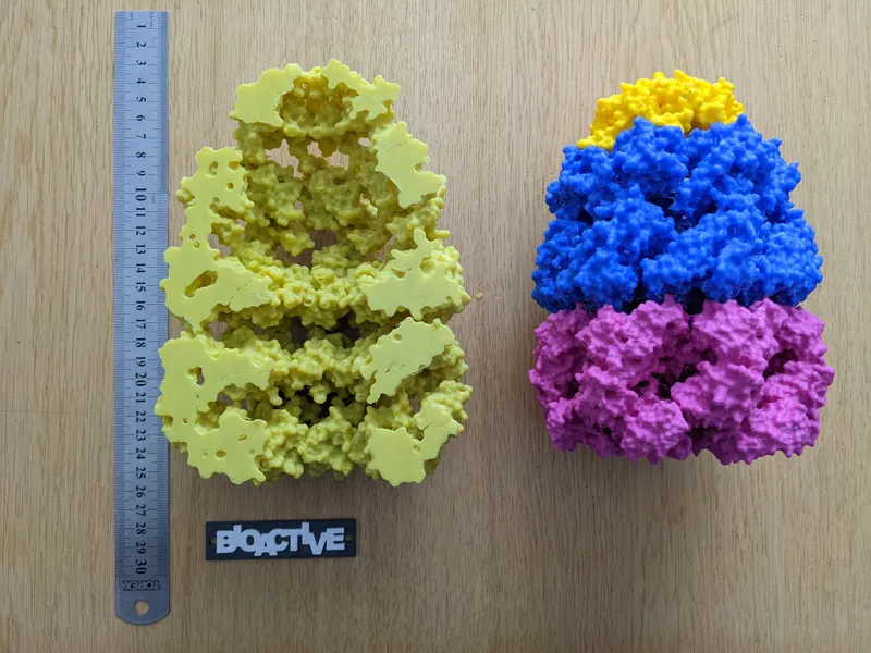 ASYMMETRIC CHAPERONIN COMPLEX GROEL/GROES