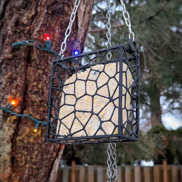 https://makerworld.bblmw.com/makerworld/model/DSM00000000920172/design/2024-12-28_fh6ifsh28vgv.jpg