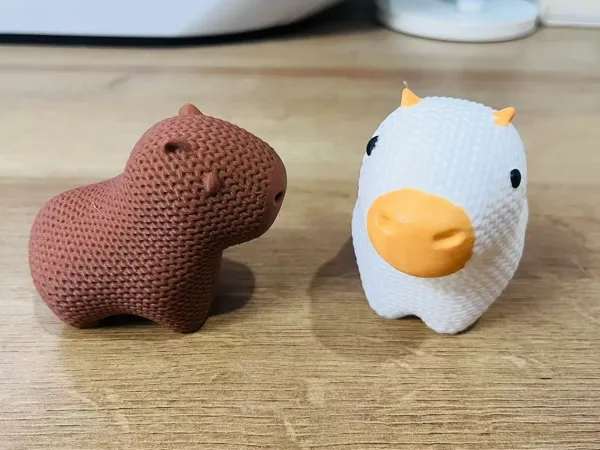 https://makerworld.bblmw.com/makerworld/model/DSM00000000920881/design/f227ebba-969d-4803-8425-9e8ea14ba836.webp