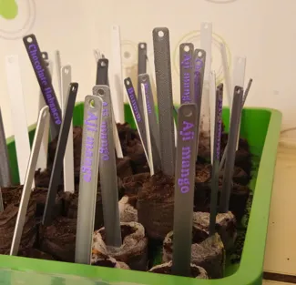 Plant name tag base
