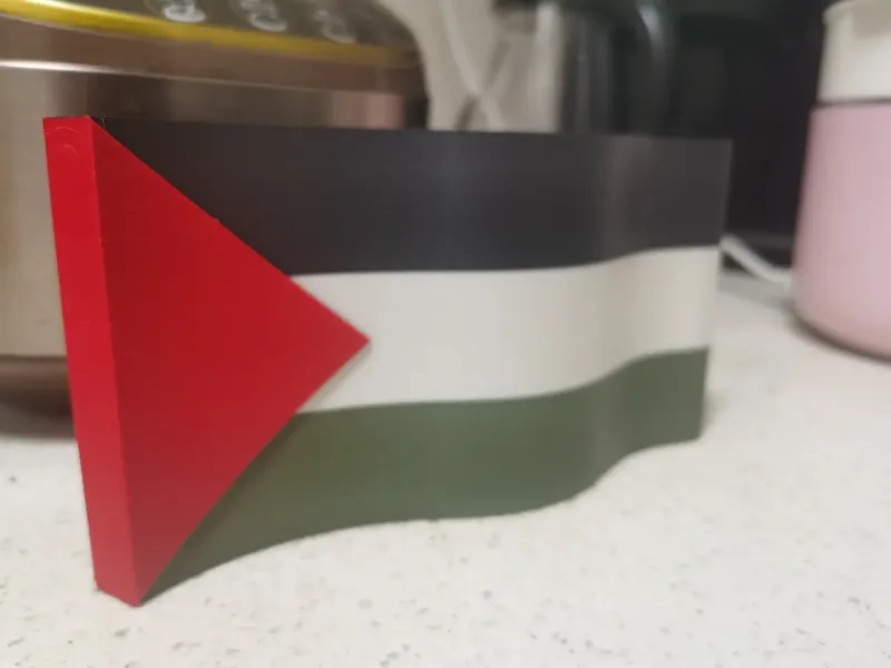 巴勒斯坦国旗