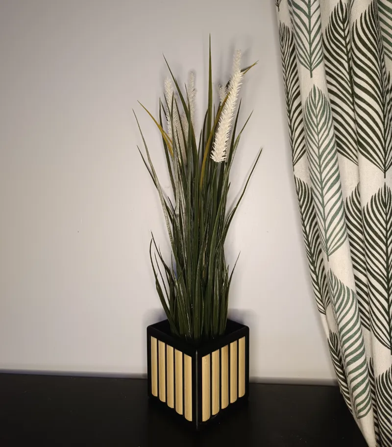 Agusia's Planter