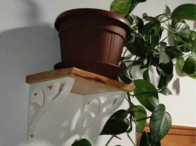 Shelf bracket