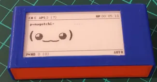 Pwnagotchi case