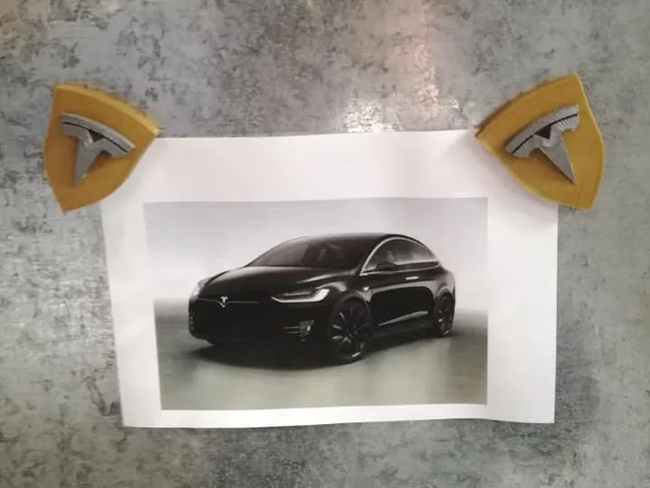 Tesla Logo Magnet