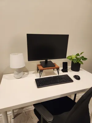 Topology Optimised Monitor Stand