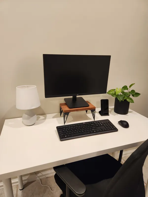 Topology Optimised Monitor Stand