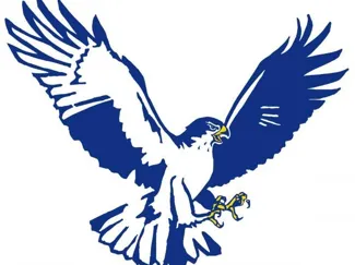 Hermon Hawks Keychain: NOT MULTICOLOR