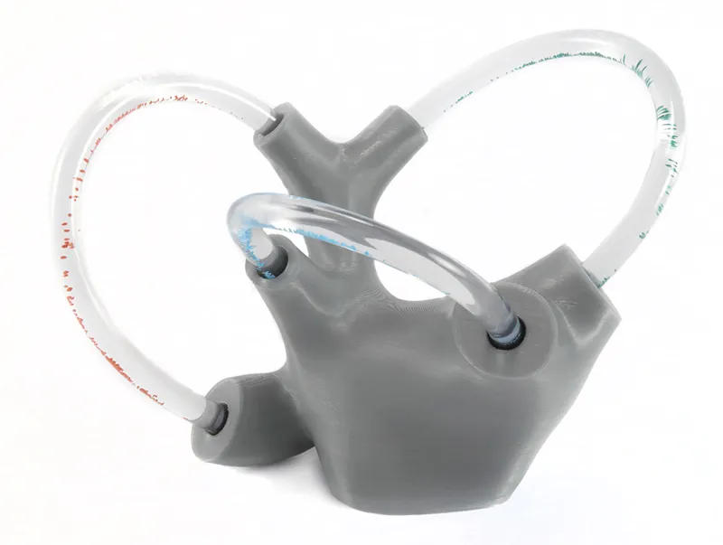 Fluid-Filled Vestibular Apparatus for Education