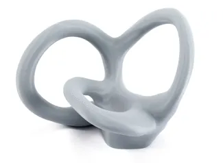 Vestibular Apparatus Education Model