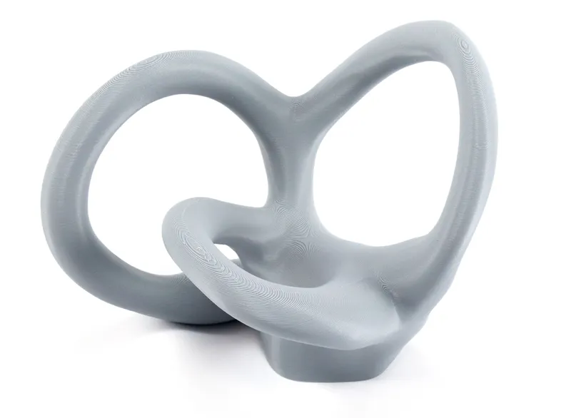 Vestibular Apparatus Education Model