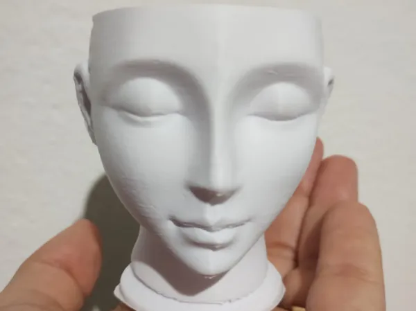 https://makerworld.bblmw.com/makerworld/model/DSM00000000939464/design/2025-01-01_e4b72373e86dc.jpeg