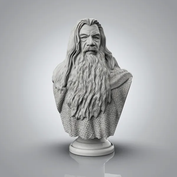 https://makerworld.bblmw.com/makerworld/model/DSM00000000939965/design/2024-12-15_71d0ve6ksf3v.jpg