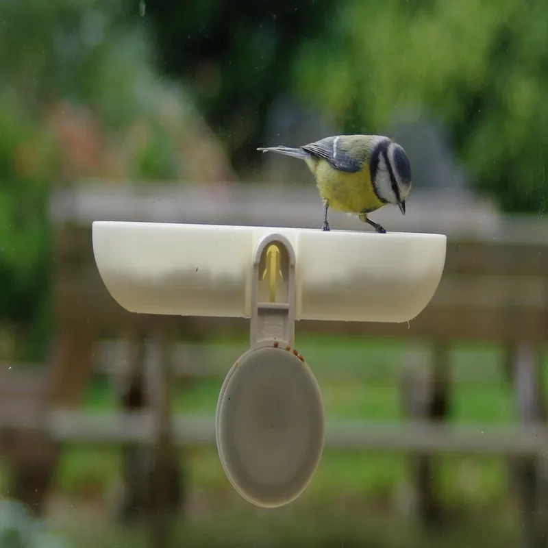 Fågelmatare (feeder secured with Ikea suction cup)