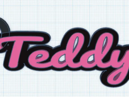 Teddy keychain