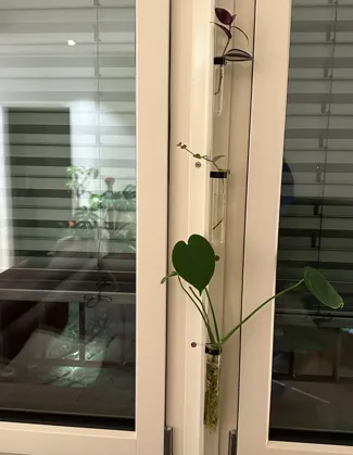 Tube Planter