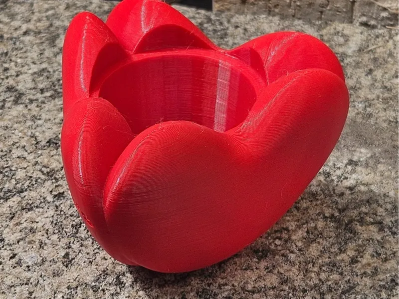 Heart Shaped Pot - Valtentine's Day