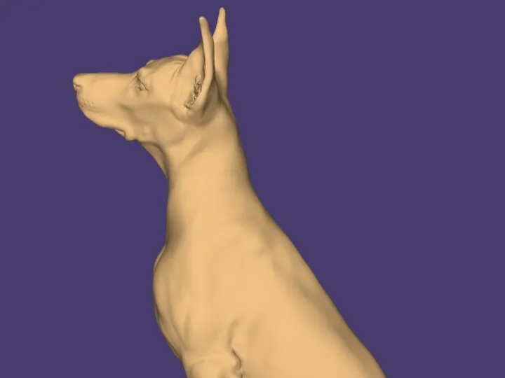 Sitting Doberman