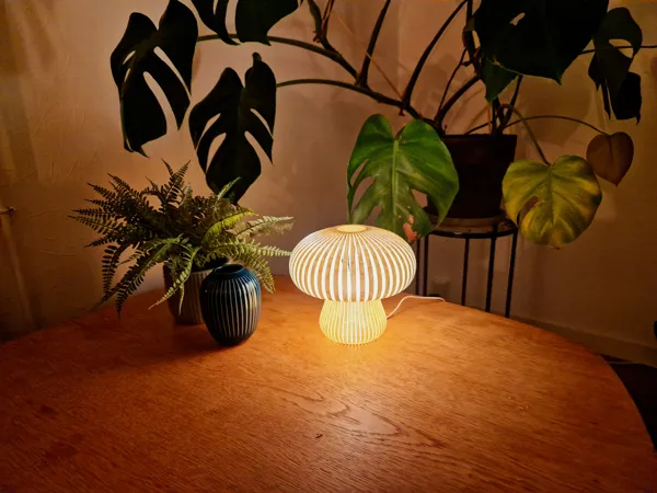 https://makerworld.bblmw.com/makerworld/model/DSM00000000944865/design/2025-01-03_7c8f3fb020237.jpg
