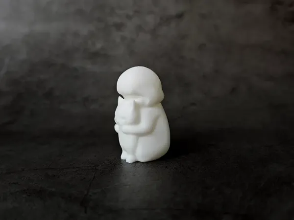 https://makerworld.bblmw.com/makerworld/model/DSM00000000944889/design/b331c6ff-0a1a-429c-bb7a-1d23764c0634.webp
