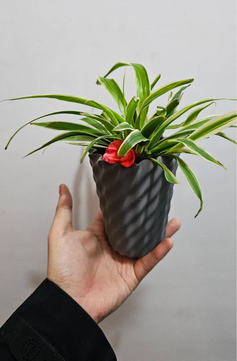 花瓶2