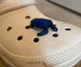 Sea Turtle Jibbit