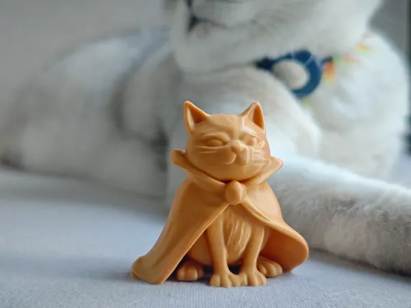 https://makerworld.bblmw.com/makerworld/model/DSM00000000947911/design/67d0e6b0-154e-4b34-9dfe-b3c345a58dd3.webp