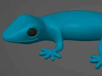 Salamander STL
