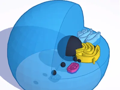 Printable Animal Cell Model