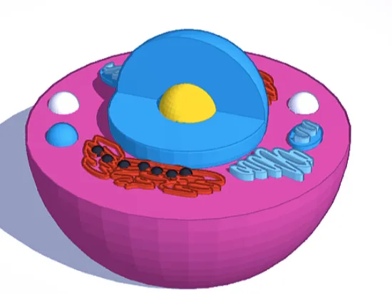 Another Cell Model