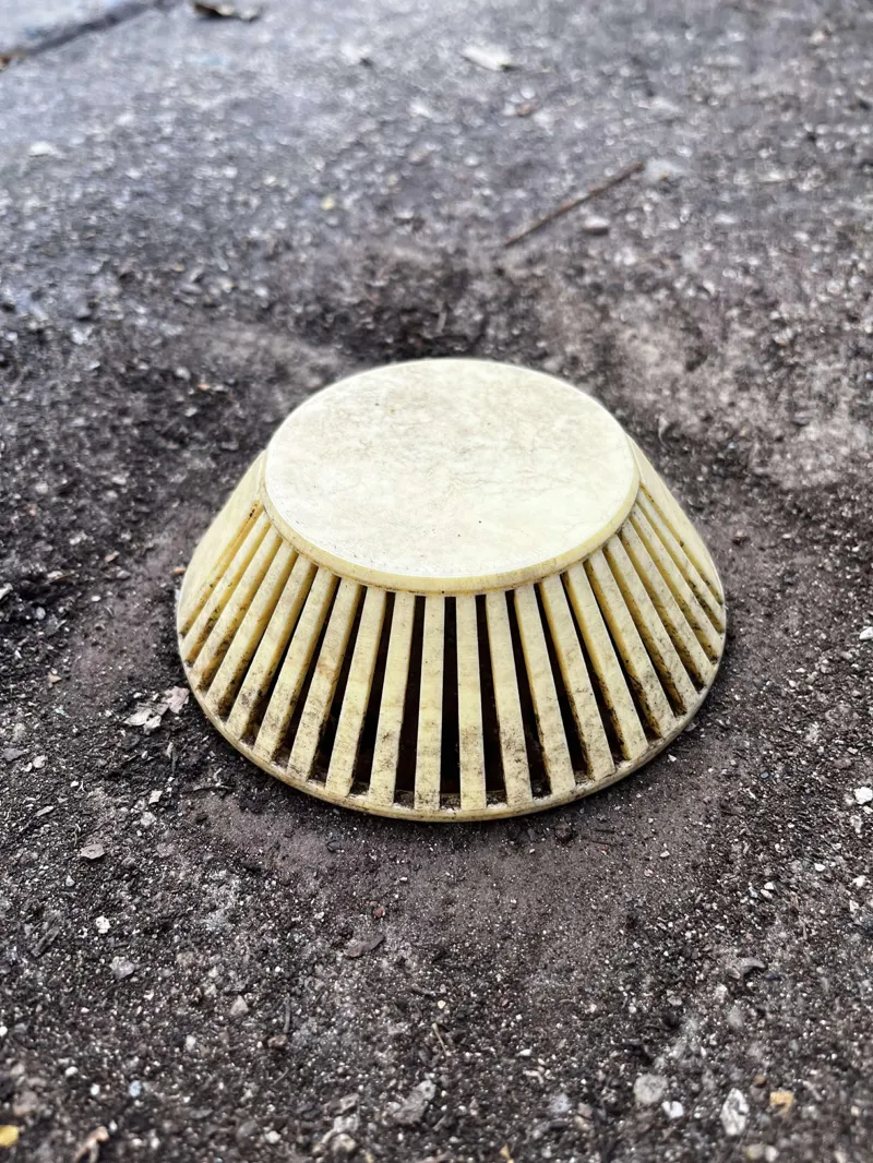 Drain Cover