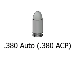 .380 Auto (.380 ACP)