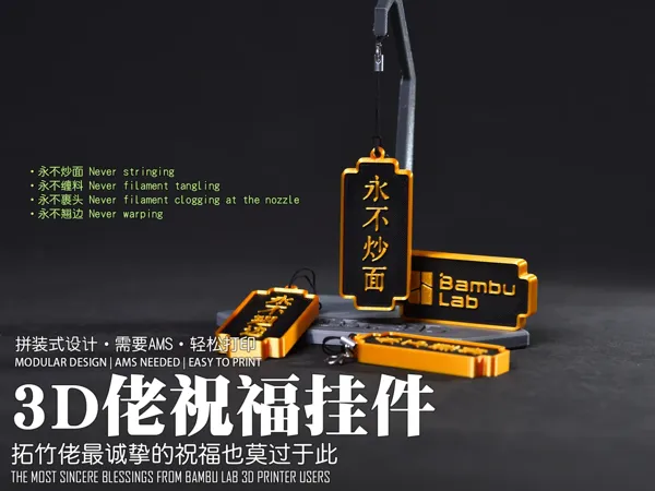 https://makerworld.bblmw.com/makerworld/model/DSM00000000953317/design/6b705a3c-f370-4a44-8ae0-87743b23353a.webp